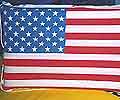America-Fahne