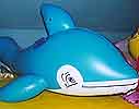 blauer Delphin