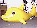 gelber Delphin
