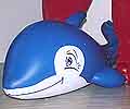 blauer Delphin
