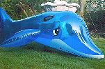 blau-transparenter Delphin